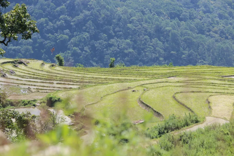 Kho gạo của Xuân Hương